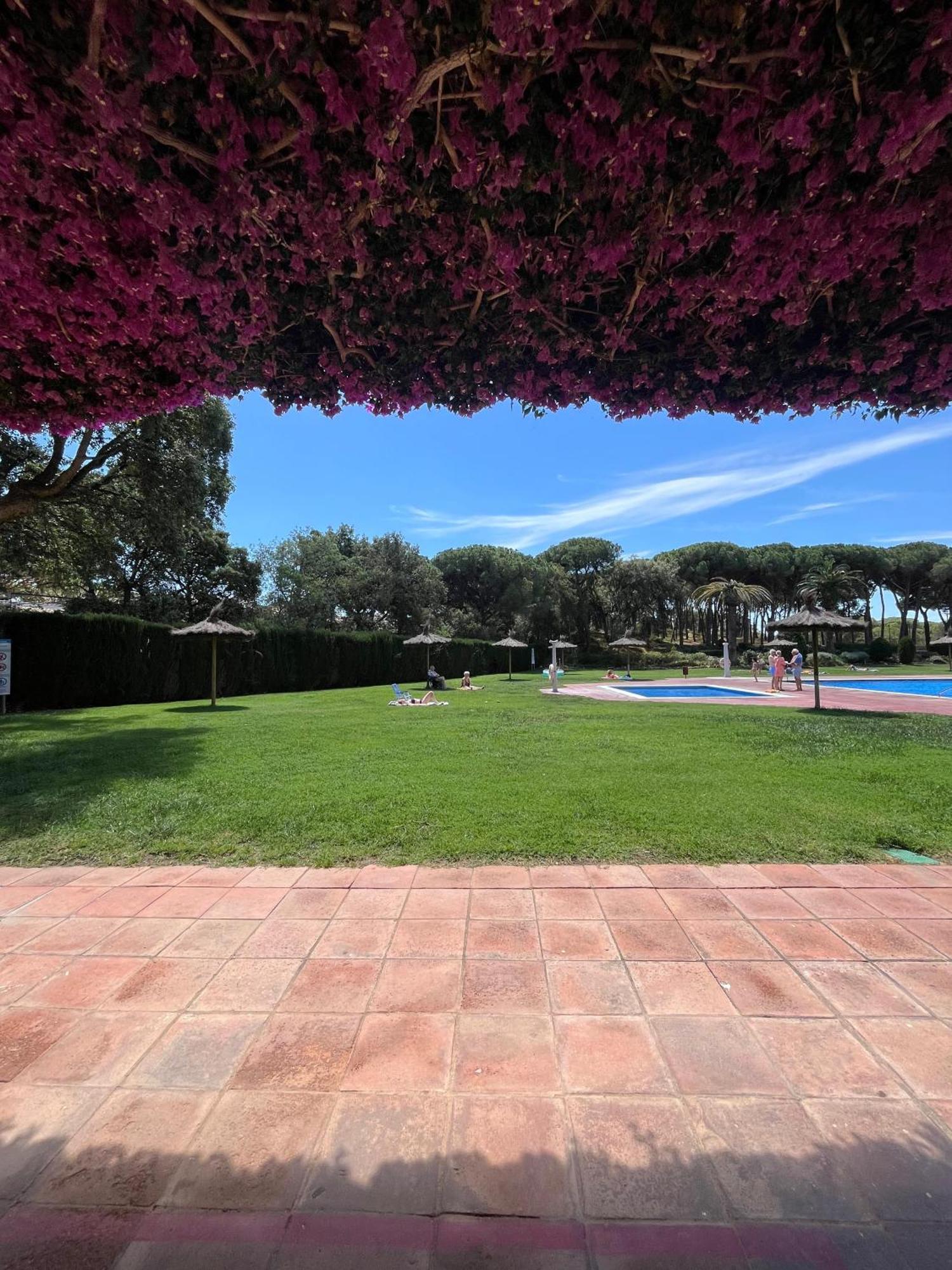Calella De Palafrugell - Piso Reformado Con Piscina, Wifi Y Parking Gratuito Daire Dış mekan fotoğraf